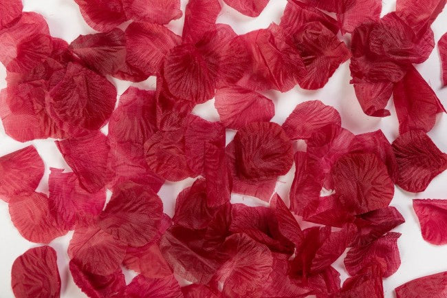 144 Rose petals deep red