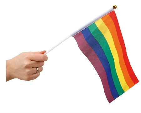 RAINBOW HAND FLAG 6-P