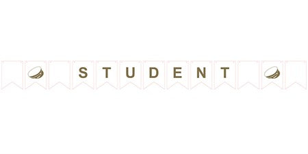FLAG BANNER STUDENT 3 M