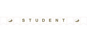 FLAG BANNER STUDENT 3 M