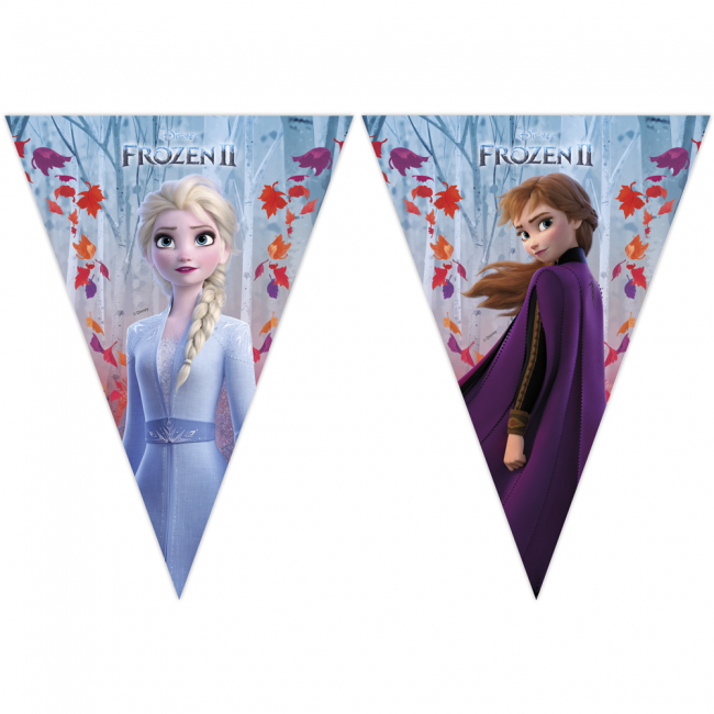 6 Triangle Flag Banner (9 Flags) Frozen 2